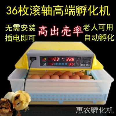 怎么浮化小鸡（浮化小鸡的机器多少钱一台?）
