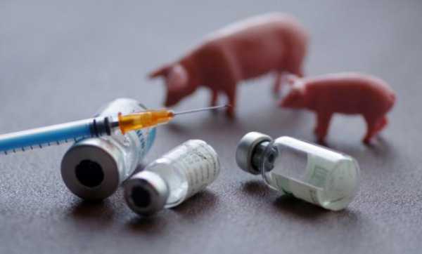 怎么给猪打细小疫苗（猪打细小疫苗起什么作用）