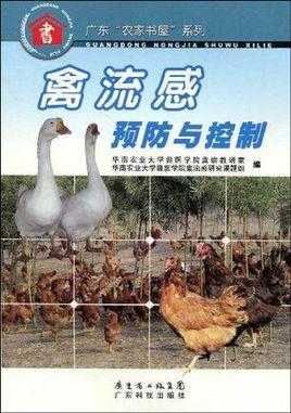弄了鸡怎么预防禽流感（鸡场如何预防禽流感）