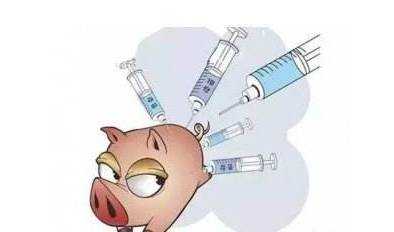 瑞普猪疫苗怎么样（瑞普猪用疫苗都有哪些?质量如何?）