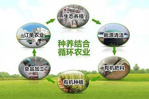 牧原养猪厂怎么管理（牧原养猪工作流程）